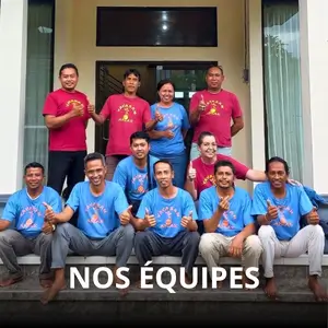 Nos équipes